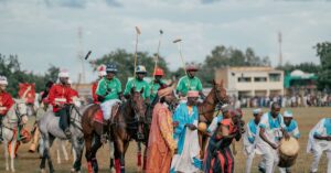 Comment choisir le bon type de cheval pour vous